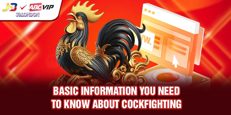 Basic information you need to know about cockfighting