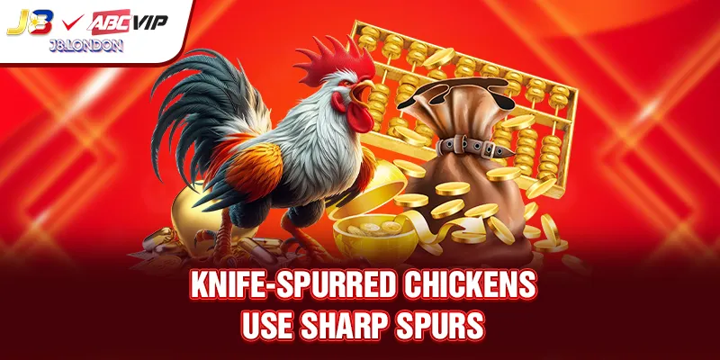 Knife-spurred chickens use sharp spurs