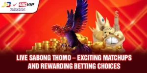 Proven strategies for forecasting high-success bets in Live Sabong Thomo