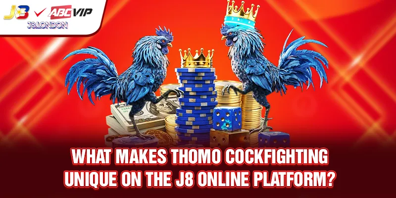 How is Thomo Cockfighting featured on the J8 online platform?
